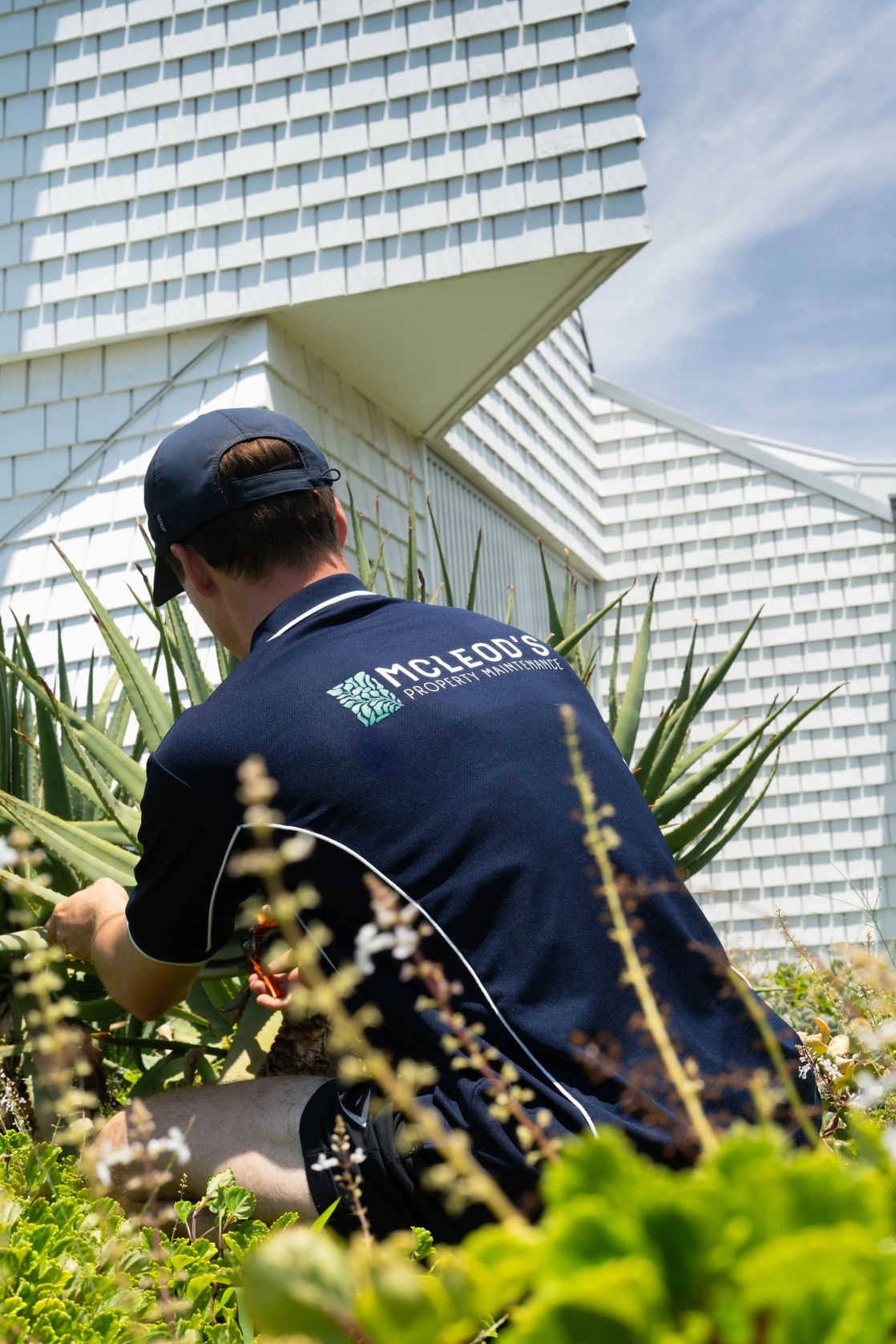 McLeod's gallery image